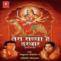 Tera Sachcha Hai Darbaar songs mp3