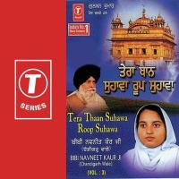 Tera Thaan Suhawa Roop Suhawa (Vol. 3) songs mp3