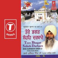 Tere Bhagat Sohe Darbare (Vol. 6) songs mp3