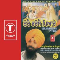 Tere Bharose Piyare songs mp3