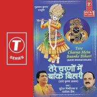 Tere Charno Mein Baanke Bihari songs mp3