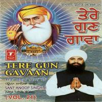 Tere Gun Gavaan (Vol. 21) songs mp3