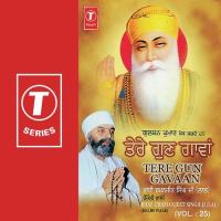 Tere Gun Gavaan (Vol. 25) songs mp3