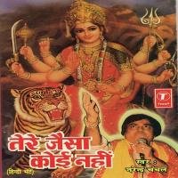 Tere Jaisa Koi Nahin Narendra Chanchal Song Download Mp3