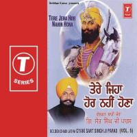 Tere Jeha Hor Nahin Hona (Vol. 5) songs mp3