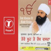 Tere Khute Rab Was Na - Vol.32 Baba Balwinder Singh Ji-Nanaksar Kurali Wale Song Download Mp3