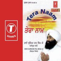 Tera Naam Bhai Surinder Pal Singh-Raipur Wale Song Download Mp3