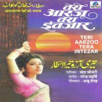 Teri Aarzoo Tera Intezar songs mp3