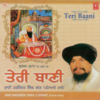 Teri Baani songs mp3