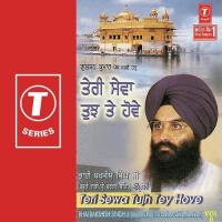 Teri Sewa Tujh Te Hove (Vol. 8) songs mp3