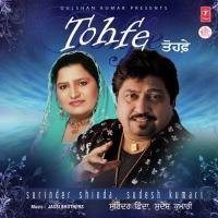 U S A Da Viza Surinder Shinda,Sudesh Kumari Song Download Mp3