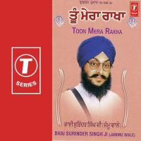 Toon Mera Rakha songs mp3