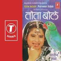 Mera Ranjha Tujhe Dilne Pukara Parveen Babi Song Download Mp3