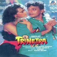 Trinetra - Title Music Various Artist Song Download Mp3