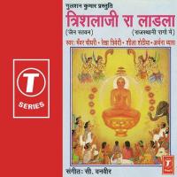 Om Shankheshwara (Aarti) Sheela Shethiya,Rekha Trivedi,Bhanwar Chaudhary,Archana Vyas Song Download Mp3
