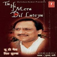 Tu Hi Mera Dil Luteya songs mp3