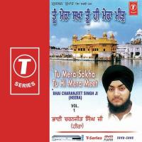 Tu Mera Sakha Tu Hi Mera Meet (Vol. 1) songs mp3