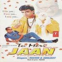 Tu Meri Jaan songs mp3