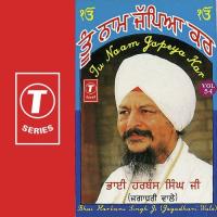 Nivean Nu Phal Lagde Bhai Harbans Singh Ji-Jagadhari Wale Song Download Mp3