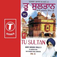 Tu Sultan Bhai Balbir Singh-Amritsar Wale Song Download Mp3