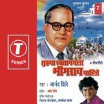 Bhimacha Paksh Pahije Anand Shinde Song Download Mp3