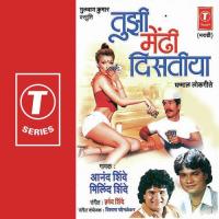 Tujhi Medhi Disteeya songs mp3