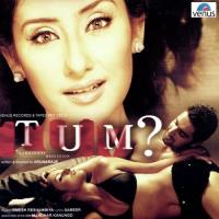 Rehna To Hain (Duet) Alka Yagnik,Kumar Sanu Song Download Mp3