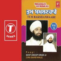 Tum Bakshanhaare (Vol. 5) songs mp3
