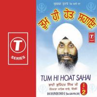 Tum Hi Hoat Sahai (Vol. 2) songs mp3