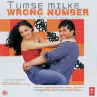 Tumse Milke....Wrong Number songs mp3