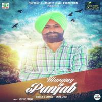 Warning To Punjab Jnab Josh Song Download Mp3