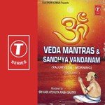 Veda Mantras &039;And Sandhya Vandanam-Yajurveda-Morning songs mp3