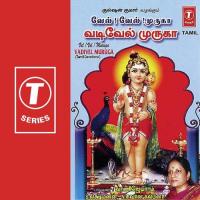 Vel Vel Muruga Vadivel Muruga songs mp3