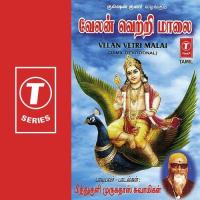 Thandanatham Pattu Pithululi Murugadas Swamigal Song Download Mp3