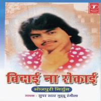 Bidaai Na Rokaai Guddu Rangila Song Download Mp3