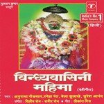 Vindhyachal Darbaar Mein Aa Ke Sneha Pant Song Download Mp3