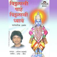 Vitthalasi Paahe Vitthalasi Dhyaye songs mp3