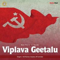 Viplava Geetalu songs mp3