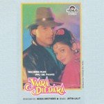 Bin Tere Sanam (Yaara Dildara) Arnab Chakraborty,Pallavi Kelkar Song Download Mp3