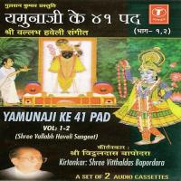 Shree Yamuna Ke Sath Firat Hai Nath Shri Vitthaldas Bapordara Song Download Mp3