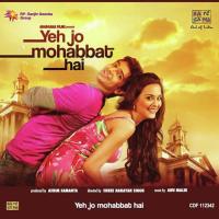 Tere Bina Jee Na Lage Mohit Chauhan,Suzanne D-Mello Song Download Mp3