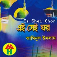 Amar Prio Maa Jonony Aminul Islam Song Download Mp3