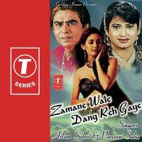 Zamane Wale Dang Reh Gaye Parveen Babi,Haji Aslam Sabri Song Download Mp3