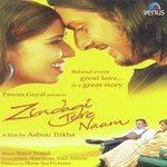 Milne Ko Nahi Aaye (Female) Sunidhi Chauhan Song Download Mp3