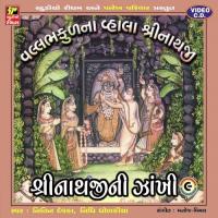 Aavi Chuoo Sevane Kaj Nitin Devka Song Download Mp3