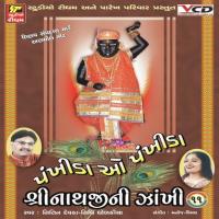 Shrinathji Ni Zankhi Part-11 songs mp3