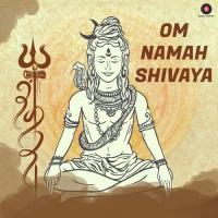 Om Namah Shivaya Mohan Kanan Song Download Mp3