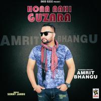 Hona Nahi Guzara Amrit Bhangu Song Download Mp3