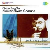Puriya Kalyan (Slow) -Amit Chaudhuri Amit Chaudhuri Song Download Mp3