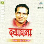 Priticha Phulbaag Baharun Aala Suresh Wadkar Song Download Mp3
